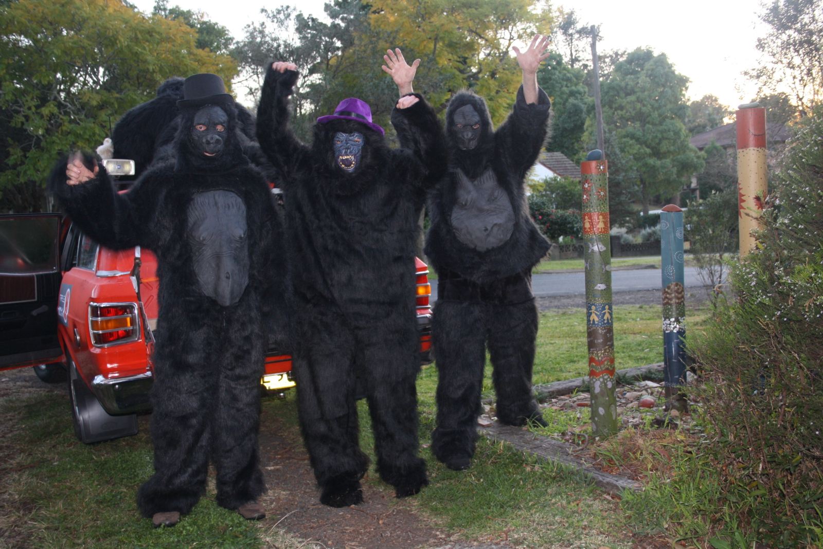 2012 NSW Balmain to Bamaga Bash | Car 8 Gorillas in the Dust